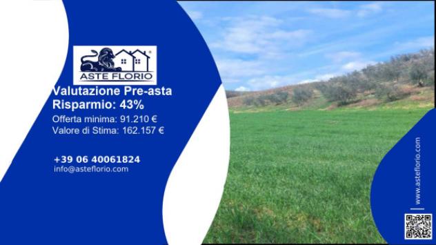 terreno agricolo in vendita ad Altomonte