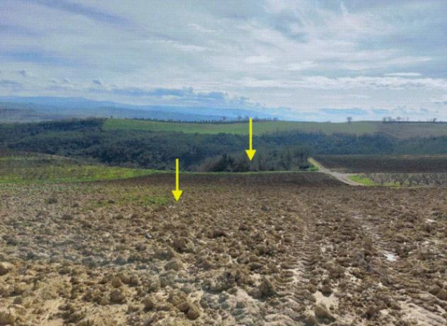 terreno agricolo in vendita ad Altomonte