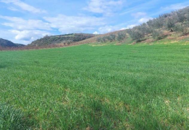 terreno agricolo in vendita ad Altomonte
