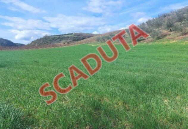 terreno agricolo in vendita ad Altomonte