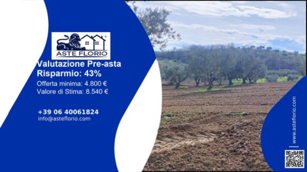 terreno agricolo in vendita ad Altomonte