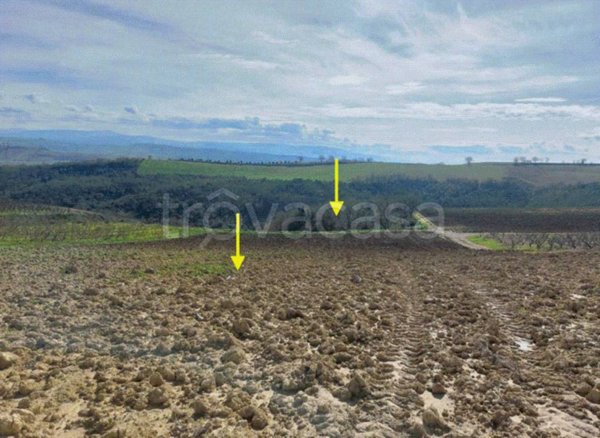 terreno agricolo in vendita ad Altomonte