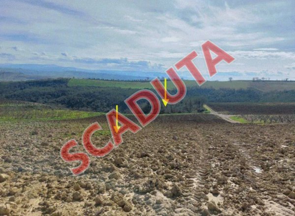 terreno agricolo in vendita ad Altomonte