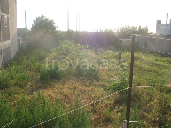 terreno agricolo in vendita ad Amantea