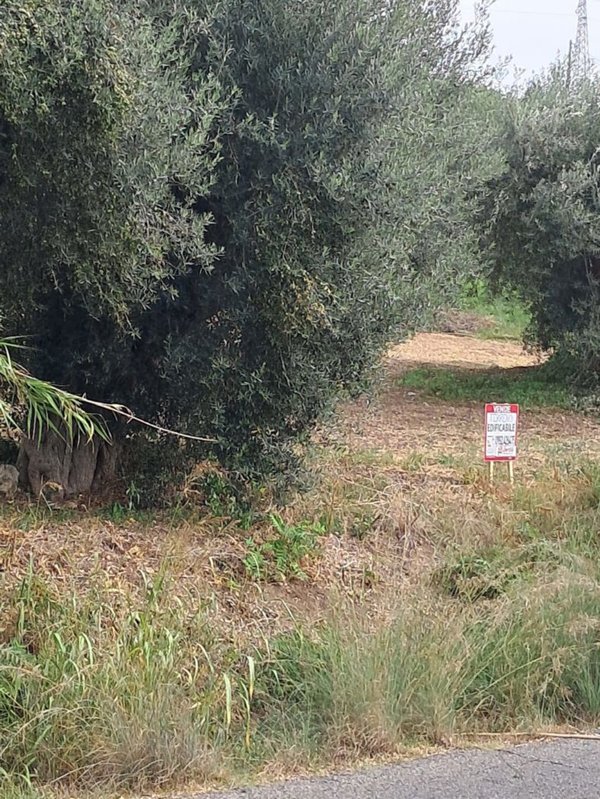 terreno edificabile in vendita ad Amantea