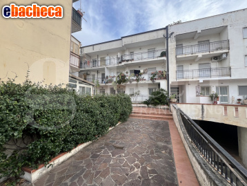 appartamento in vendita ad Amantea