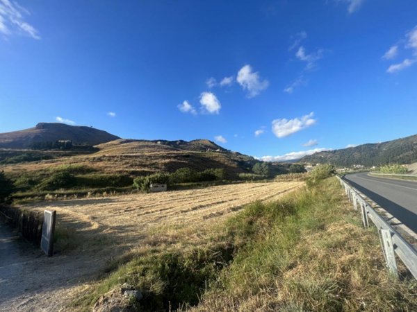 casa indipendente in vendita ad Amantea