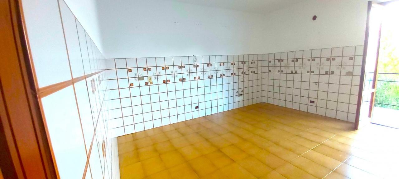 immagine annuncio 0 di 15