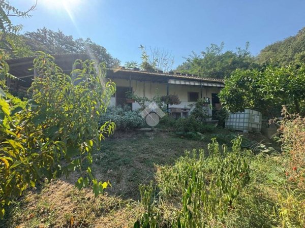 casa indipendente in vendita ad Amantea