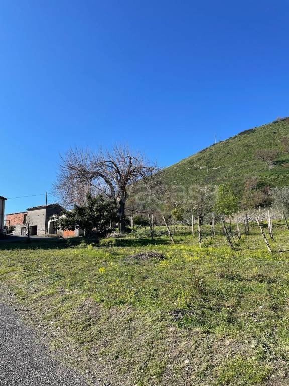 casa indipendente in vendita ad Amantea