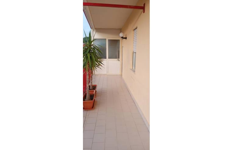 appartamento in vendita ad Amantea