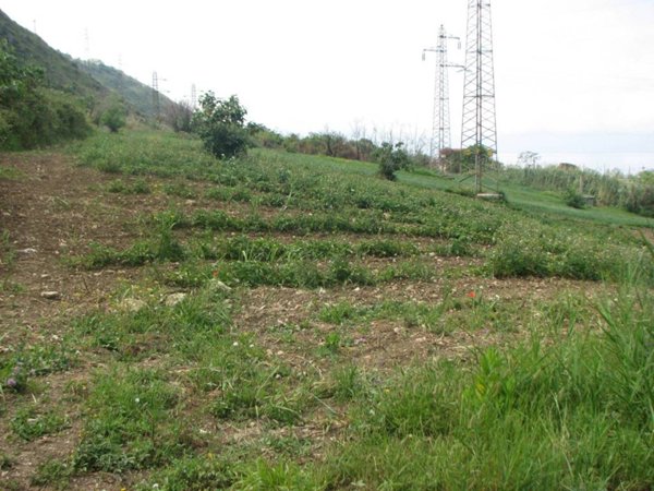 casa indipendente in vendita ad Amantea