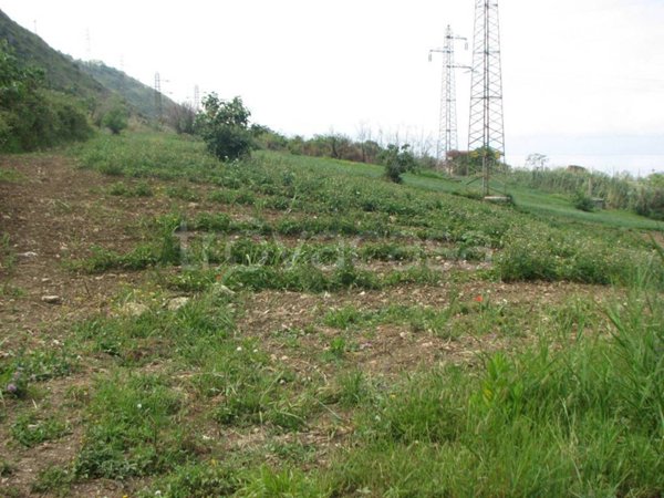 bifamiliare in vendita ad Amantea