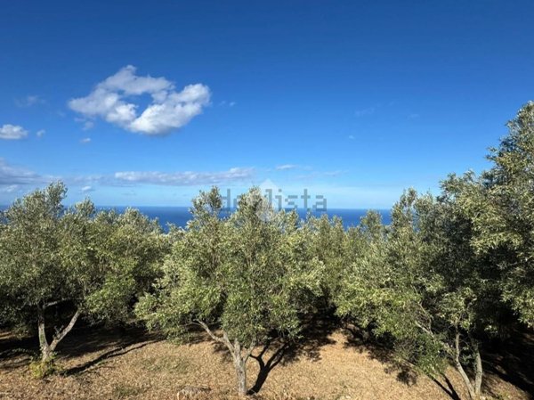 terreno agricolo in vendita ad Amantea in zona Acquicella
