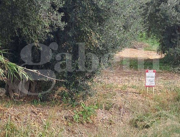 terreno in vendita ad Amantea in zona Acquicella