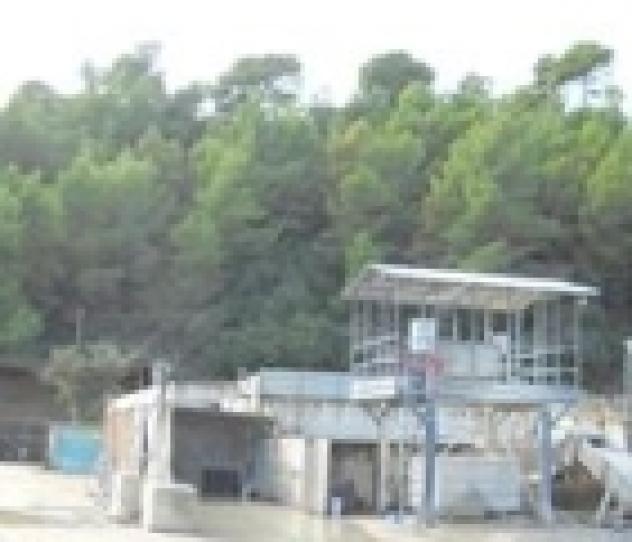 negozio in vendita ad Amendolara