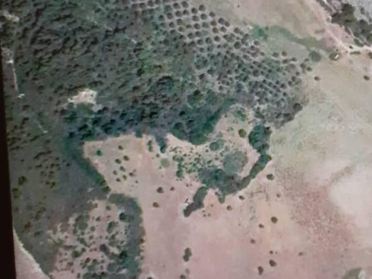 terreno agricolo in vendita ad Amendolara