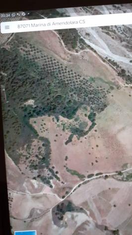 terreno agricolo in vendita ad Amendolara