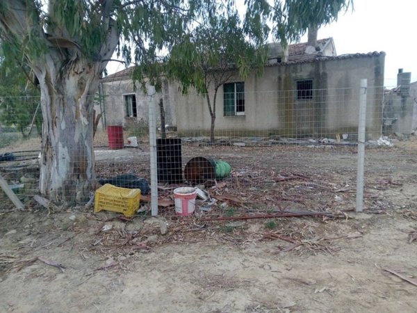 casa indipendente in vendita ad Amendolara
