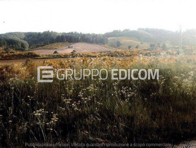 terreno agricolo in vendita ad Aprigliano