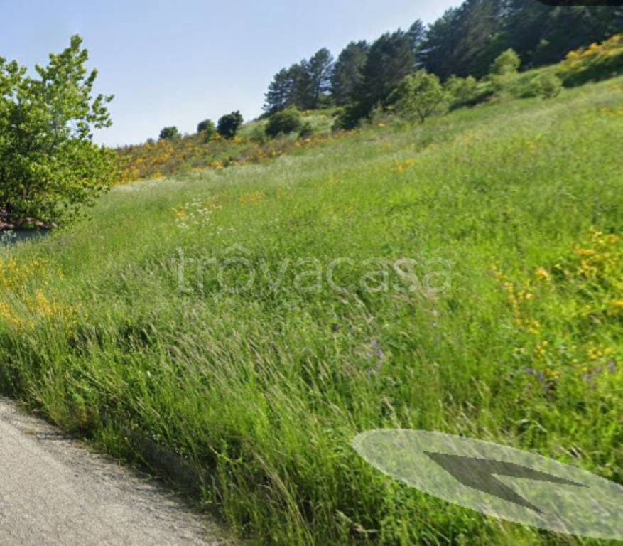 terreno agricolo in vendita ad Aprigliano in zona Vico