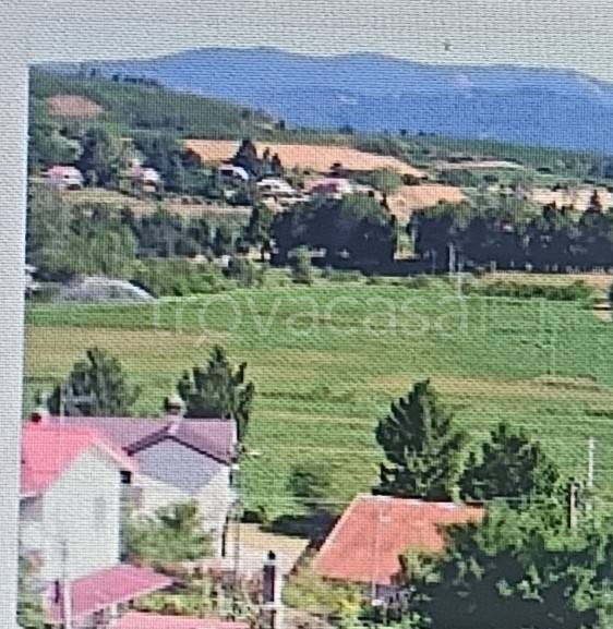 terreno agricolo in vendita ad Aprigliano