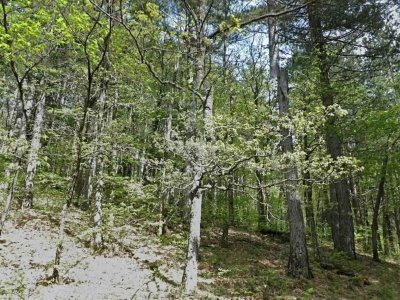 terreno agricolo in vendita ad Aprigliano