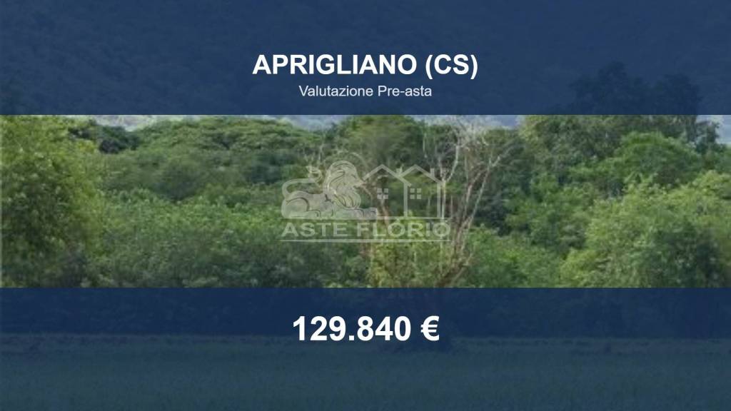 appartamento in vendita ad Aprigliano in zona Vico