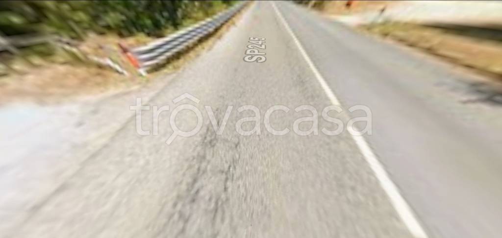 terreno agricolo in vendita a Belsito