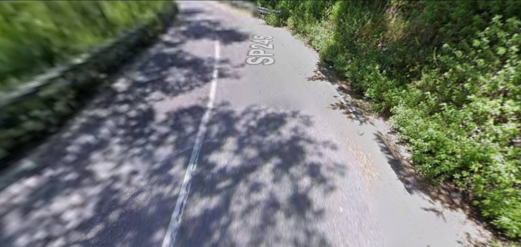 terreno agricolo in vendita a Belsito