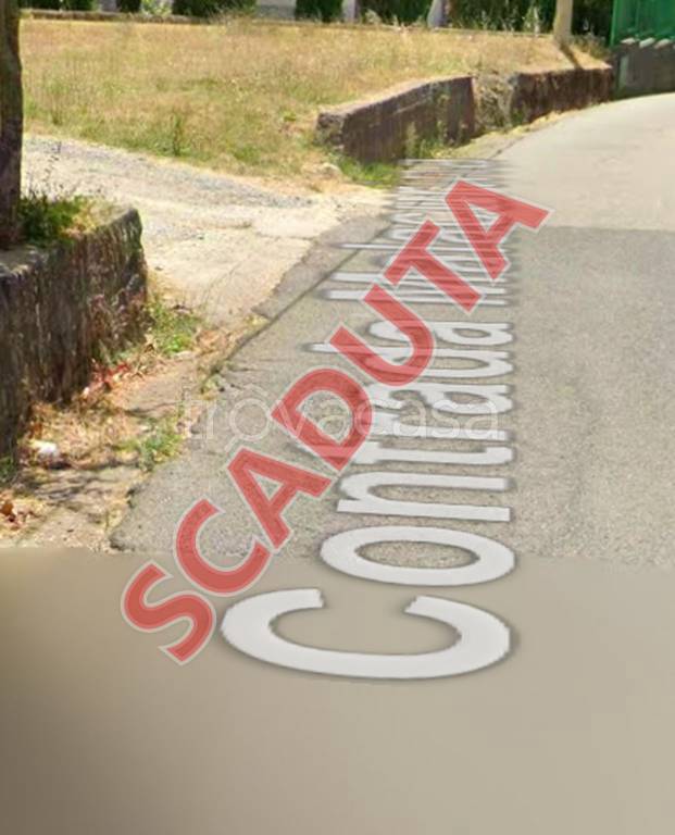 terreno agricolo in vendita a Belsito