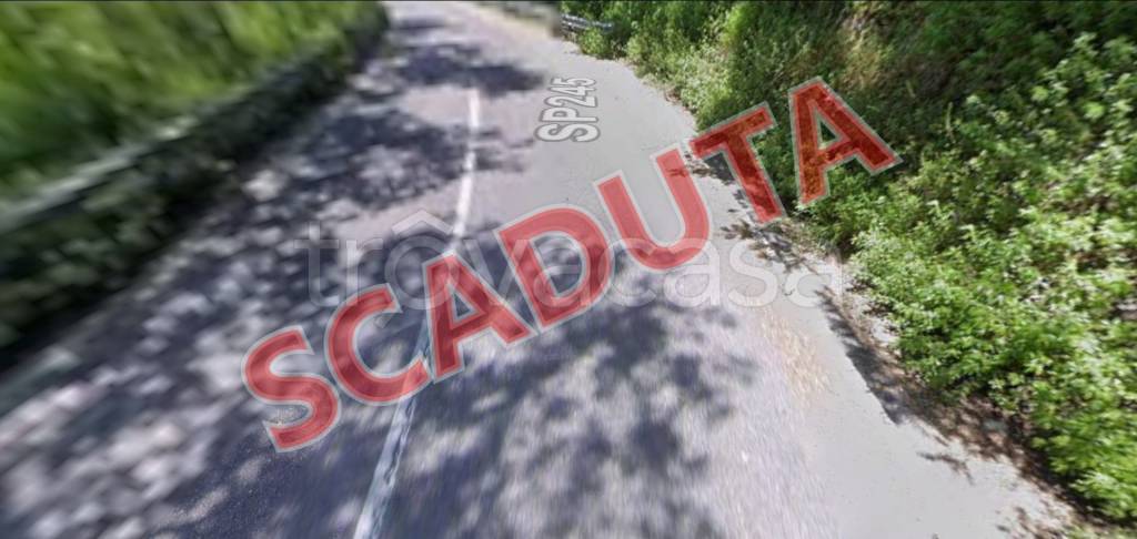 terreno agricolo in vendita a Belsito