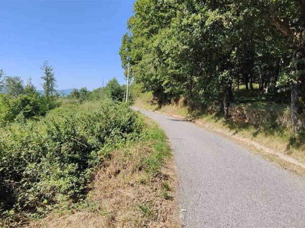terreno agricolo in vendita a Belsito