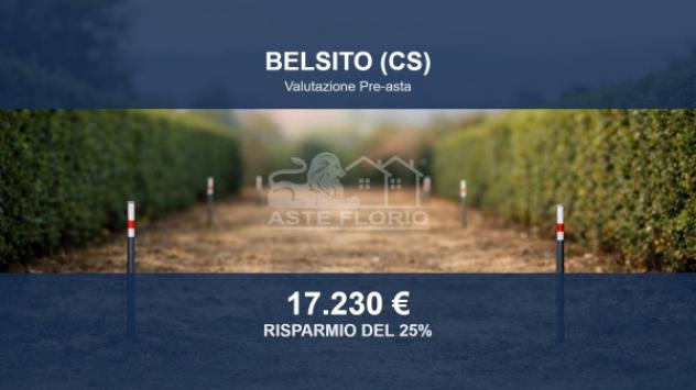terreno agricolo in vendita a Belsito