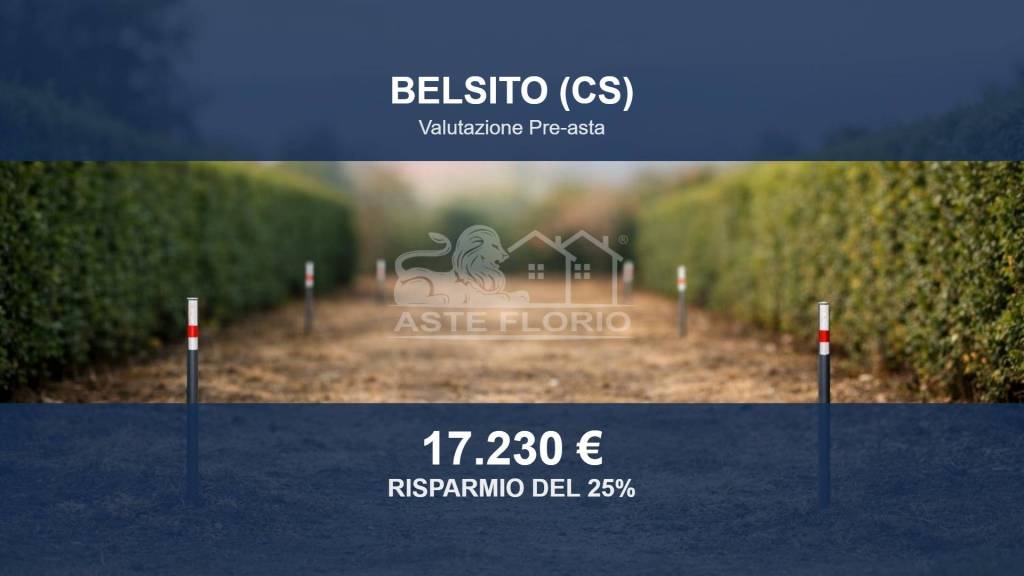terreno agricolo in vendita a Belsito
