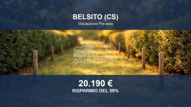 terreno agricolo in vendita a Belsito