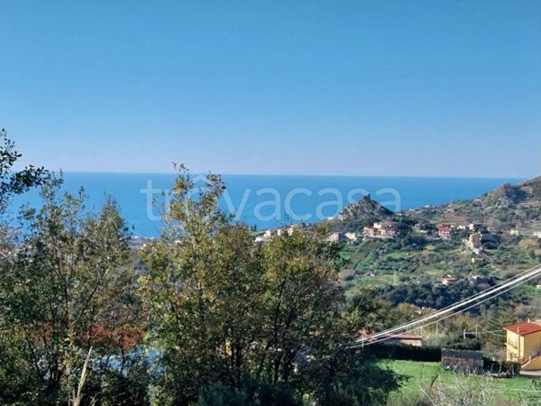 casa indipendente in vendita a Belvedere Marittimo