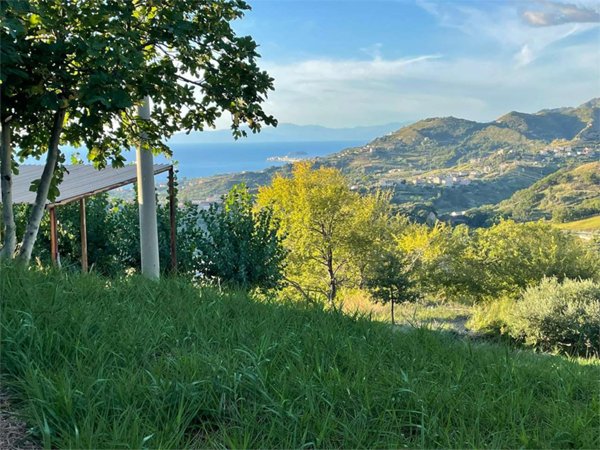 casa semindipendente in vendita a Belvedere Marittimo