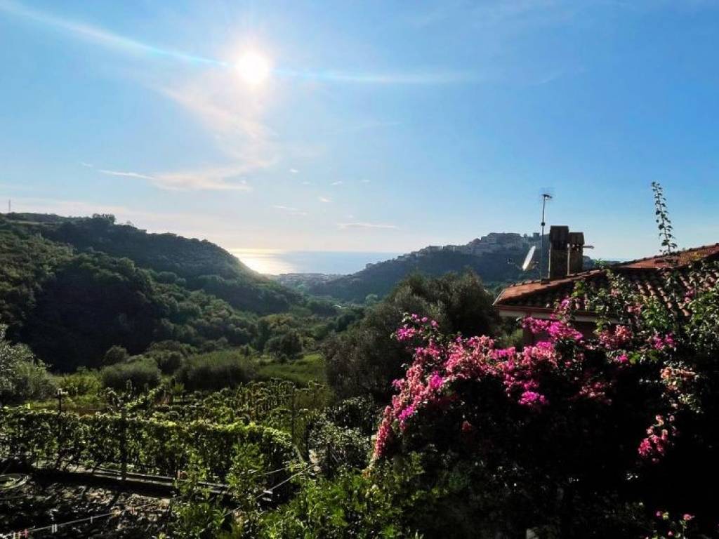 casa indipendente in vendita a Belvedere Marittimo