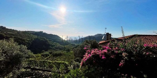 casa indipendente in vendita a Belvedere Marittimo