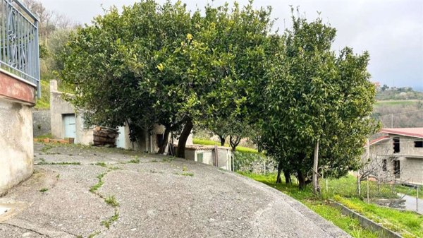 casa indipendente in vendita a Belvedere Marittimo