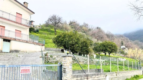casa indipendente in vendita a Belvedere Marittimo