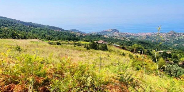 appartamento in vendita a Belvedere Marittimo