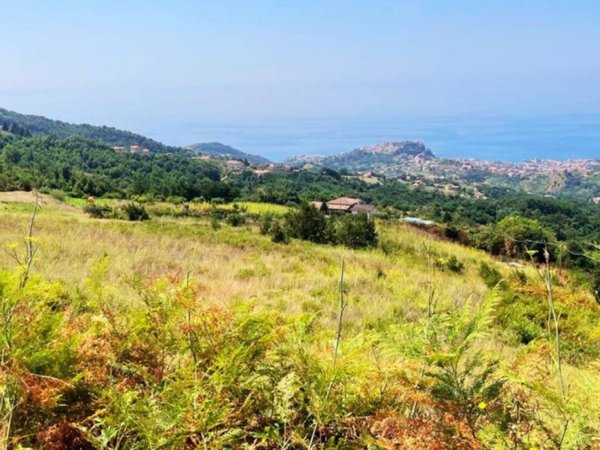 appartamento in vendita a Belvedere Marittimo