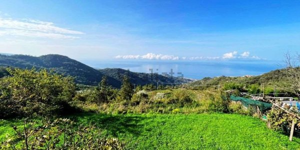 casa indipendente in vendita a Belvedere Marittimo