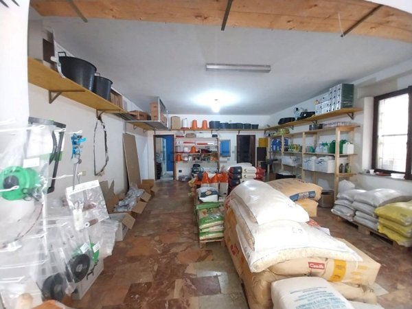locale commerciale in vendita a Belvedere Marittimo