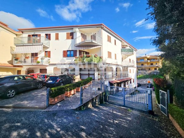 appartamento in vendita a Belvedere Marittimo