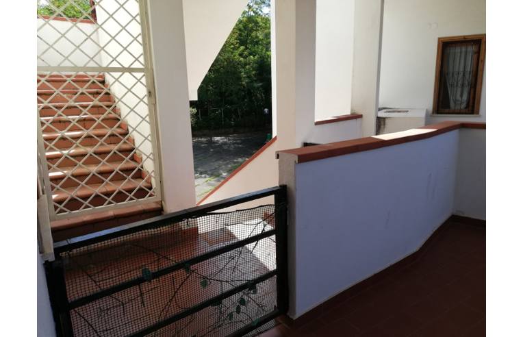 appartamento in vendita a Belvedere Marittimo