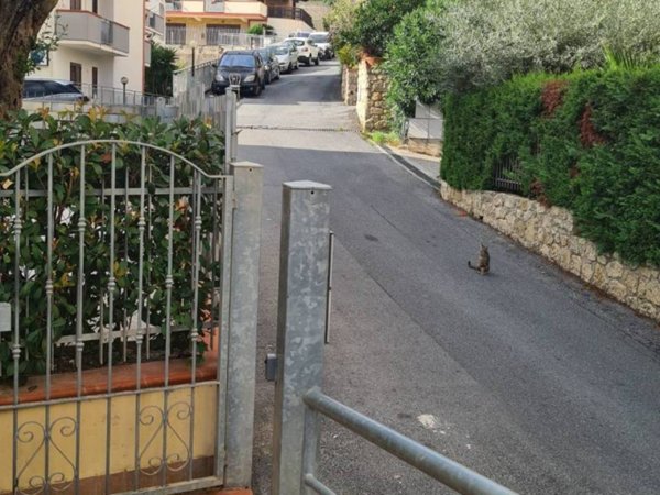 appartamento in vendita a Belvedere Marittimo