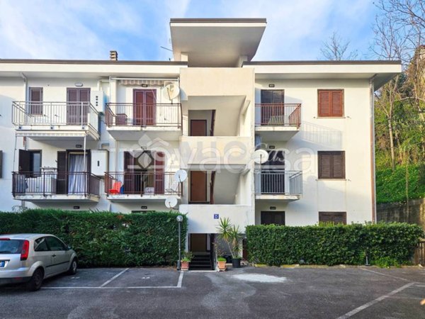appartamento in vendita a Belvedere Marittimo